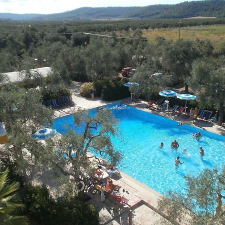Appartamenti Gallo Club Vieste Esterno foto