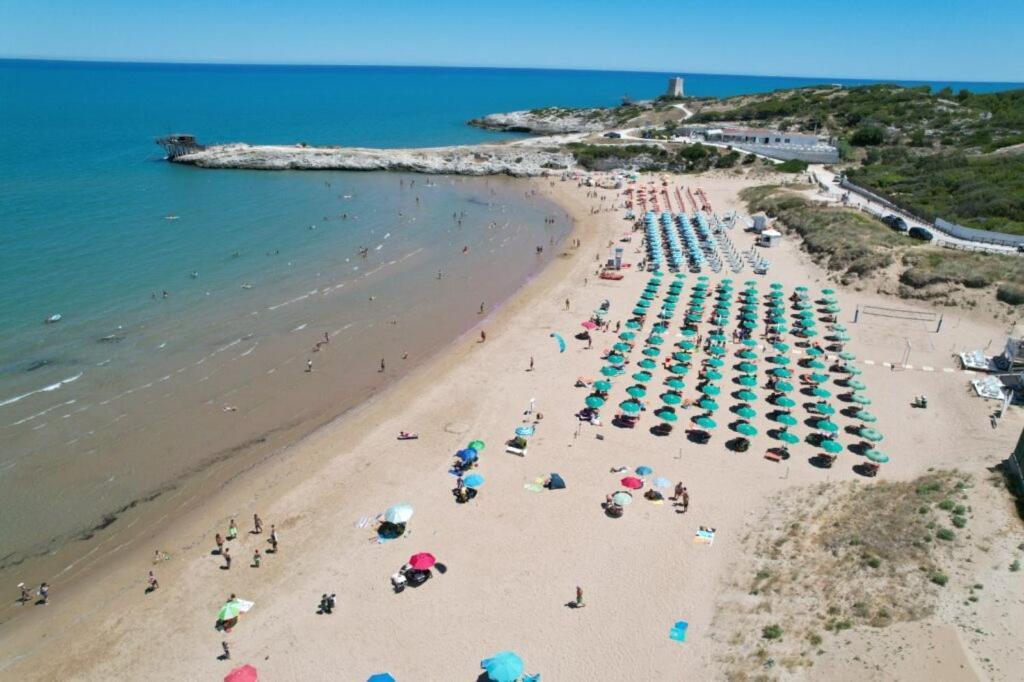 Appartamenti Gallo Club Vieste Esterno foto